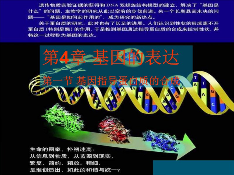 蛋白质表达是生物技术领域中一项关键技术，对于药物研发、基因工程等具有重要意义。今天我们就来深入探讨一下蛋白质表达的现状与未来。